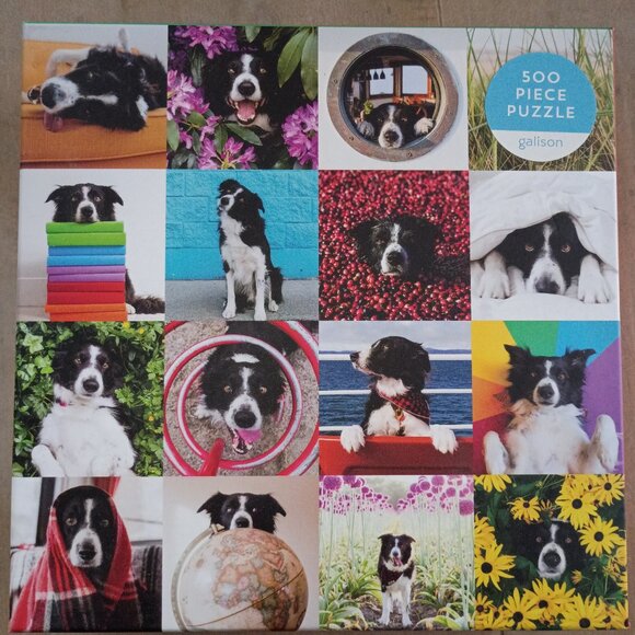 Other - Momo the dog puzzle, like new